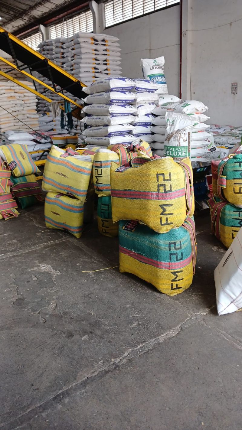 Comprar Enjalmon talla 22 en Enjalmas el caporal